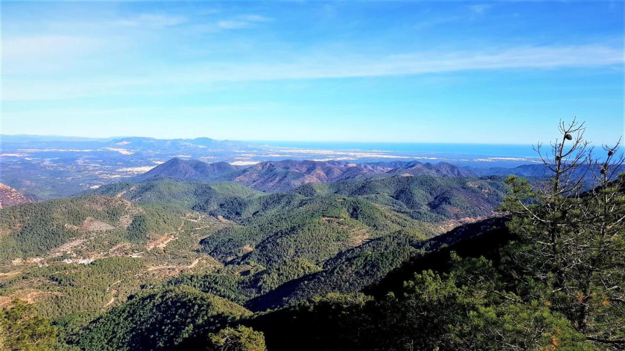 Casa Rural El Forn D'Alcúdia de Veo Kültér fotó